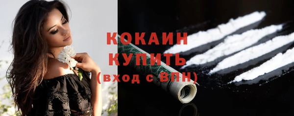 стафф Ладушкин