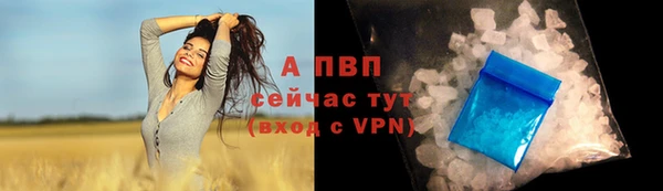 ГАЛЛЮЦИНОГЕННЫЕ ГРИБЫ Кукмор