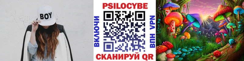 Купить где  Балахна  Галлюциногенные грибы MAGIC MUSHROOMS 